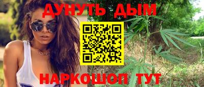 индика Кулебаки