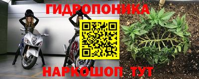индика Кулебаки