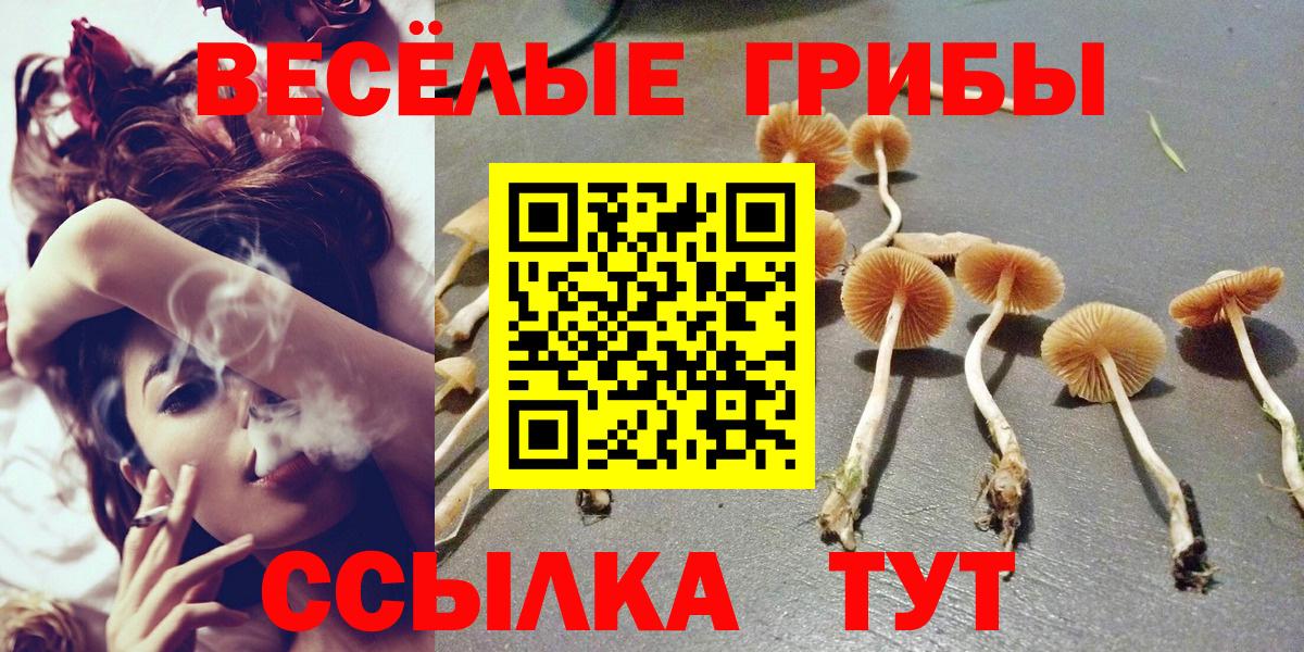 Кинель  Галлюциногенные грибы мицелий  Вход с VPN  закладка  Галлюциногенные грибы мицелий 