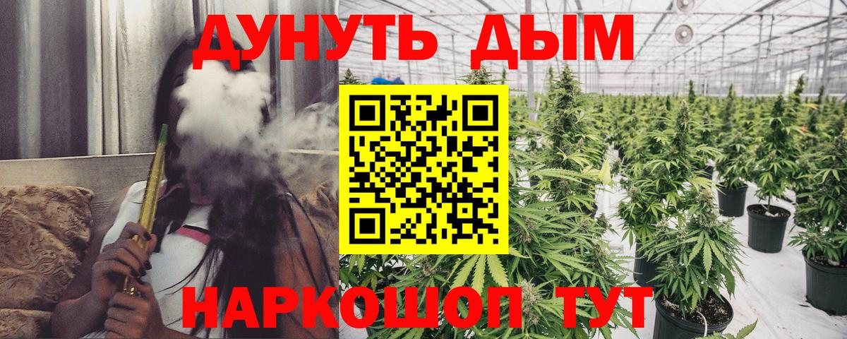 Бошки Шишки White Widow  Конопля конопля  Канабис семена  Вход с VPN  Канабис марихуана  Кинель 